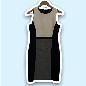 Ann Taylor Bodycon Dress